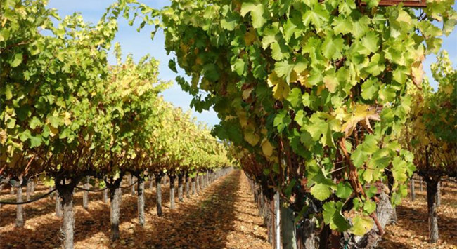 789_副本 789_副本