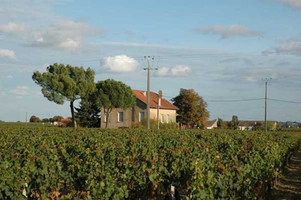 法國(guó)波爾多葡萄酒莊園