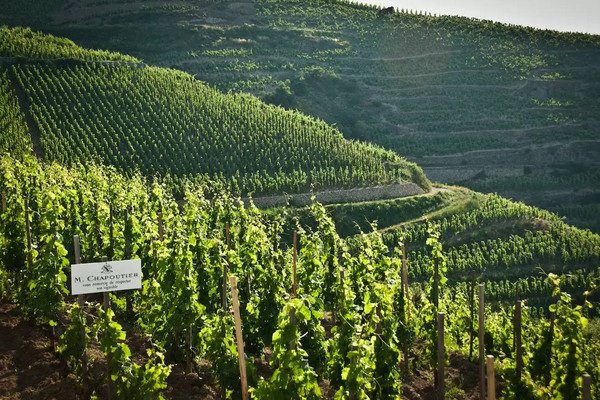 波爾多赫米塔西葡萄酒產區(qū)