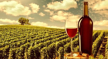 刷新拍賣紀(jì)錄的1945年羅曼尼·康帝是一款怎樣的酒？